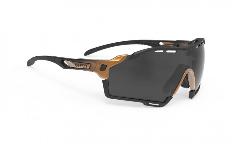 Очки велосипедные Rudy Project CUTLINE Bronze Fade Black, Smoke Black, SP631004-0010
Очки велосипедные Rudy Project CUTLINE Bronze Fade Black, Smoke Black, SP631004-0010