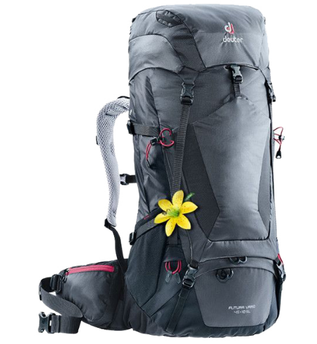 Рюкзак туристический Deuter Futura Vario SL, 45 + 10л, graphite-black, 2018, 3402018_4701
Рюкзак туристический Deuter Futura Vario SL, 45 + 10л, graphite-black, 2018, 3402018_4701
