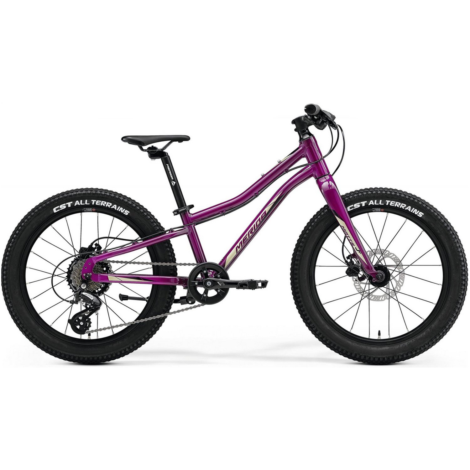 Подростковый велосипед Merida Matts J.20+ Pro, 20", 2022, RU39672 (Цвет Purple/Black)
Подростковый велосипед Merida Matts J.20+ Pro, 20", 2022, RU39672 (Цвет Purple/Black)