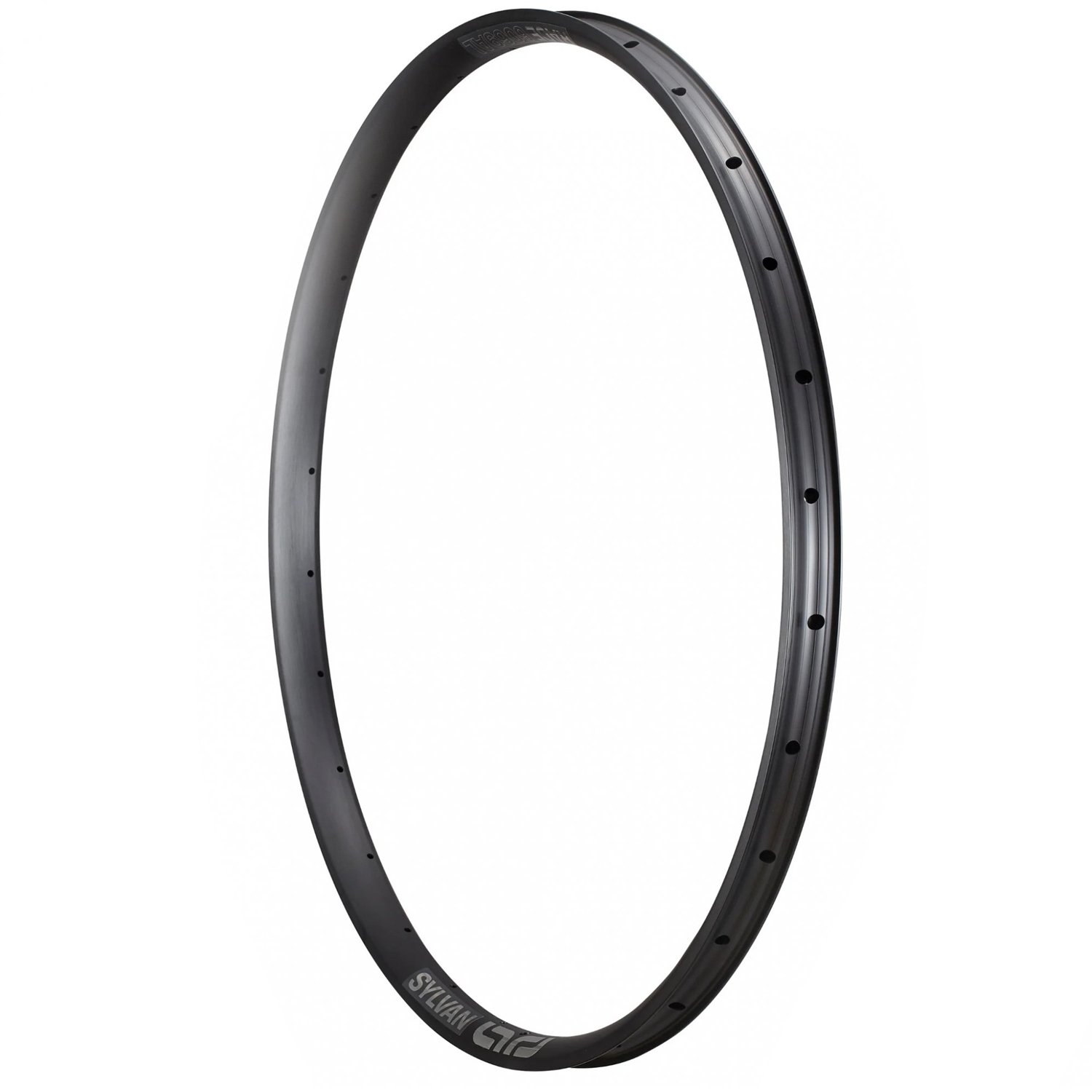 Обод велосипедный E*Thirteen Sylvan Race Alloy Trail, 28/29", алюминий, 30 мм, 28h, дисковый, черный, RM4SAA-101
Обод велосипедный E*Thirteen Sylvan Race Alloy Trail, 28/29", алюминий, 30 мм, 28h, дисковый, черный, RM4SAA-101