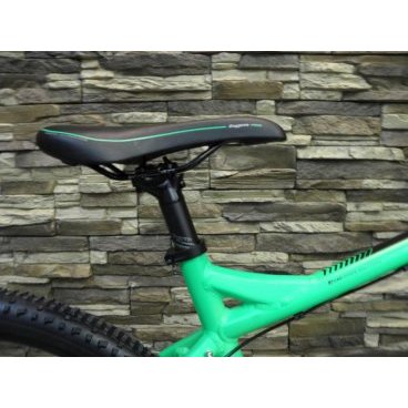 Горный велосипед Bergamont Revox 5.0 С1 2016