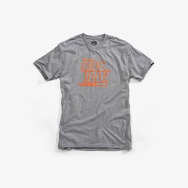 Футболка 100% Elliot Tee-Shirt, серый, 2018, 32074-188-12