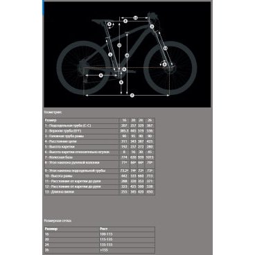 Orbea mx best sale 24 dirt 2018