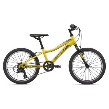 Детский велосипед Giant XTC Jr Lite 20" 2020