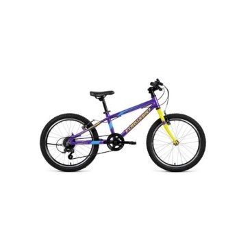 Детский велосипед FORWARD RISE 2.0 20" 2020