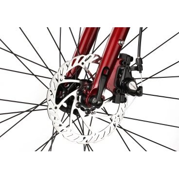 Циклокроссовый велосипед SHULZ Wanderer 28" 2020