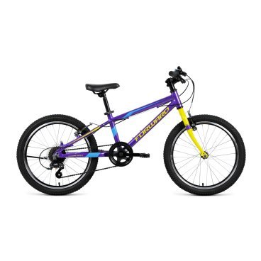 Детский велосипед FORWARD RISE 20 2.0 20" 2018-2019