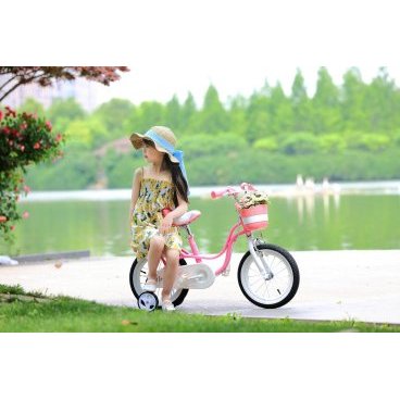 Детский велосипед Royal Baby Little Swan NEW 12"