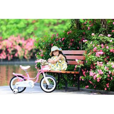 Детский велосипед Royal Baby Little Swan NEW 14"