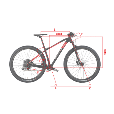 Wilier 101X Boost 2020 Vamvelosiped.ru