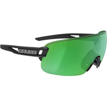 Очки велосипедные Salice, солнцезащитные, 021RW Black/RW Idro Green