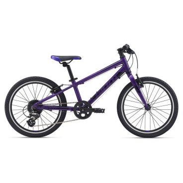 Детский велосипед Giant ARX 20" 2021