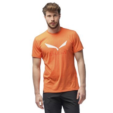 Футболка Salewa Solidlogo Dry M T-Shirt Melange, мужская, 2022, оранжевый, 00-0000027018_4156
