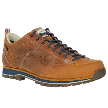 Ботинки Dolomite 54 Low Fg Evo GTX, мужской, коричневый/серый/синий, 2022-23, 292530_0922
