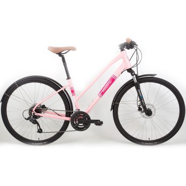 Велосипед городской Titan Racing Transporter Madison, 28", Pastel Pink, 2023, 2453100210435