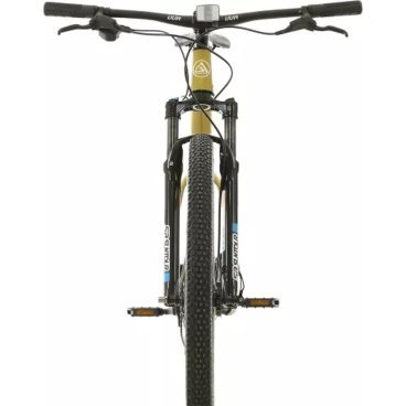 Велосипед горный Alpine Bike MTB 10 COIL, 29", 2024, ALPN_J23M022_S10_L_BG