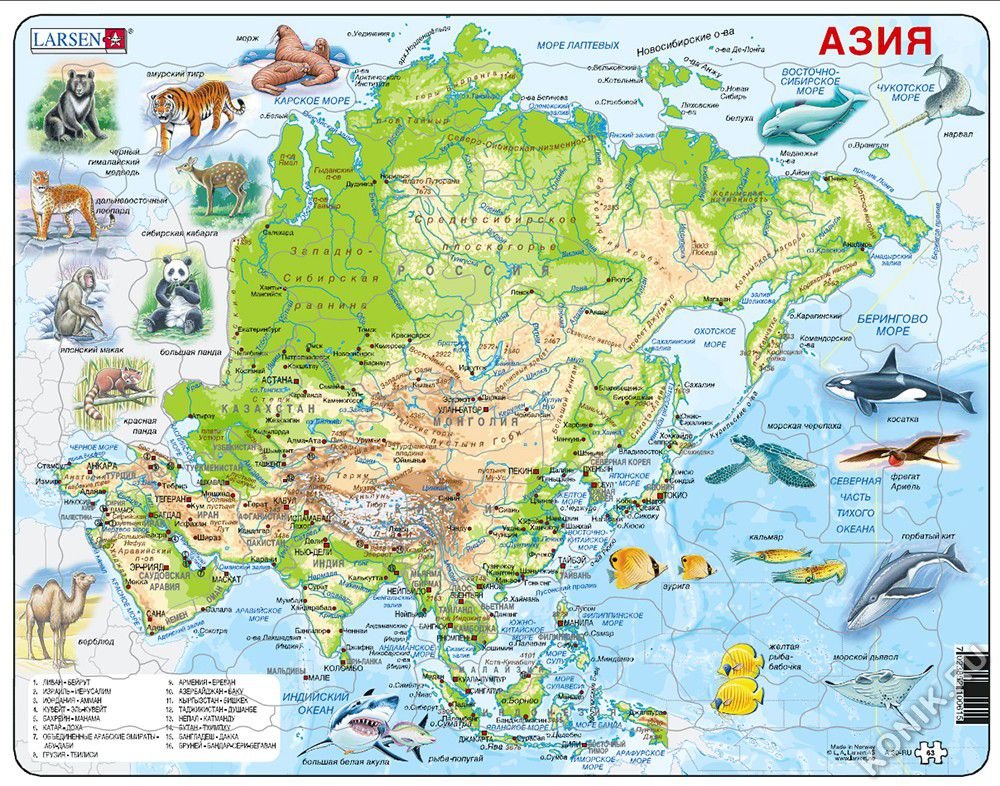 

A30 - Животные Азии (Русский), LARSEN A30