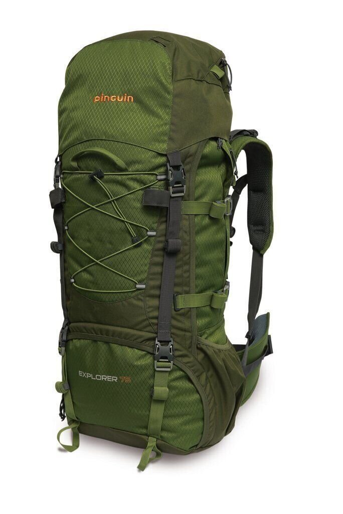 Рюкзак PINGUIN Explorer, 100л, green, p-4342 рюкзак для ноутбука 13 с usb портом promate explorer bp blue 6959144037400