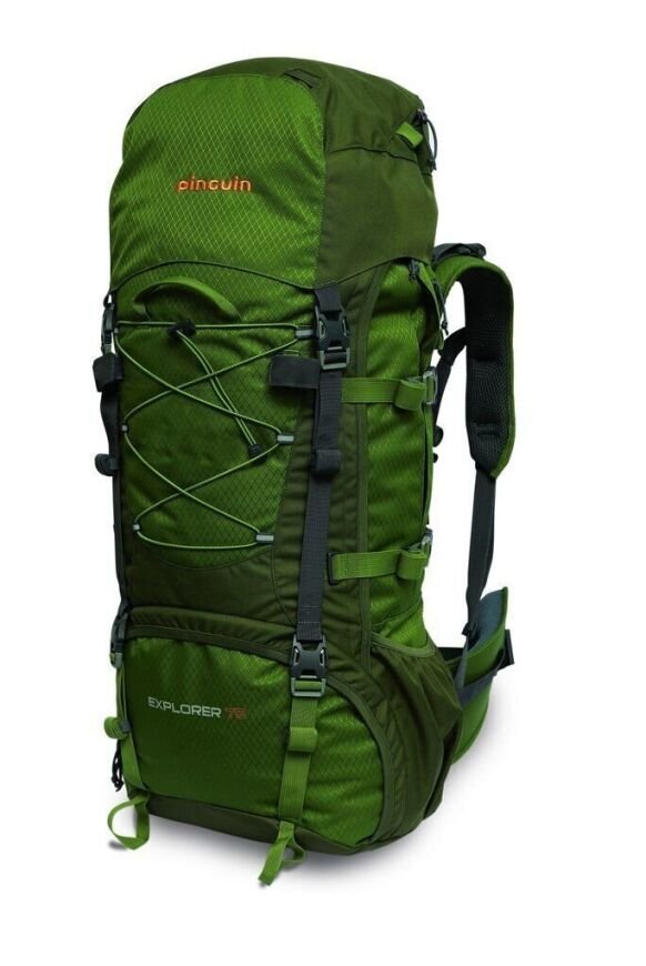 Рюкзак PINGUIN Explorer, 75л, green, p-51 рюкзак для ноутбука 13 с usb портом promate explorer bp blue 6959144037400