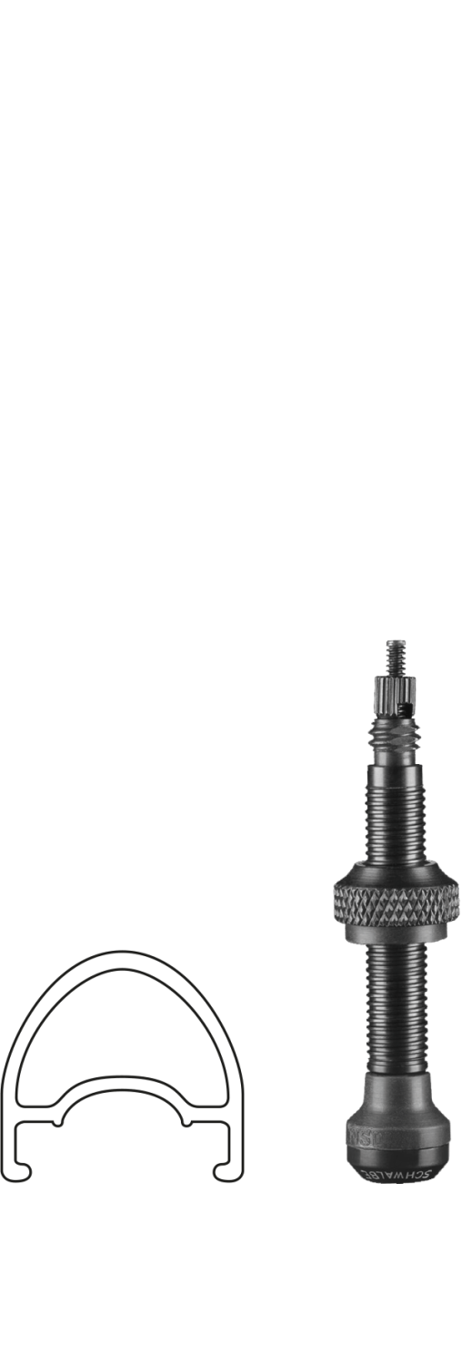 

Ниппель велосипедный SCHWALBE UTLV Tubeless Ventil, для бескамерной установки, 40 мм, Presta, 3470