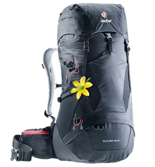 

Велорюкзак Deuter Futura SL, женский, 28 л, black, 3400618_7000