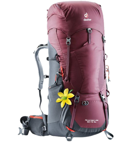 фото Рюкзак туристический deuter aircontact lite sl, женский, 60 + 10л, maron-graphite, 2018, 4340218_5423