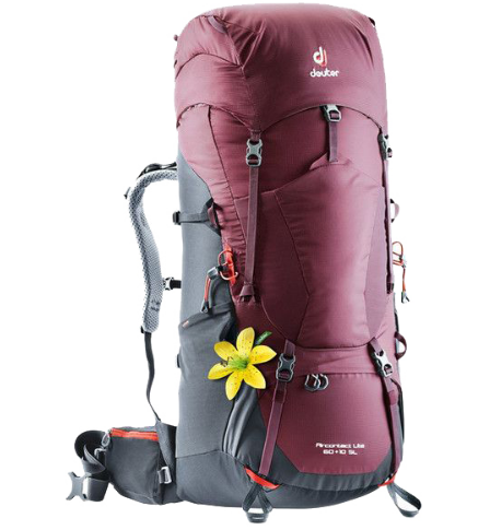 Рюкзак туристический Deuter Aircontact Lite SL, женский, 60 + 10л, maron-graphite, 2018, 4340218_5423 рюкзак туристический deuter aircontact lite sl женский 60 10л arctic navy 2018 4340218 3329