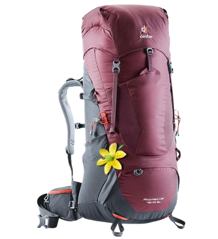 Рюкзак туристический Deuter Aircontact Lite SL, 45 + 10л, maron-graphite, 2018, 3340218_5423 рюкзак текстильный с печатью на верхней части sorry 38х29х11 см бордовый