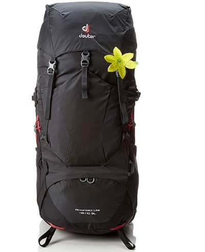 фото Рюкзак туристический deuter aircontact lite sl, женский, 45 + 10л, graphite-black, 2018, 3340218_4701