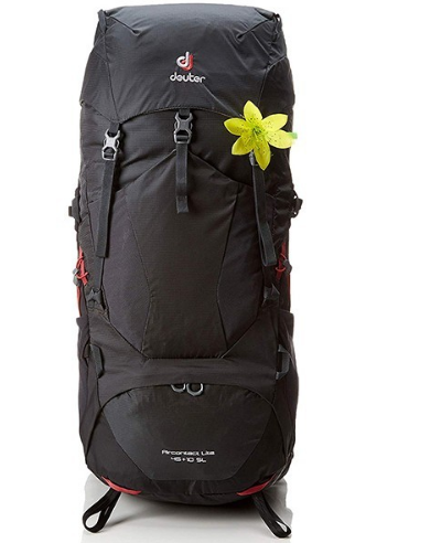 Рюкзак туристический Deuter Aircontact Lite SL, женский, 45 + 10л, graphite-black, 2018, 3340218_4701 рюкзак туристический deuter aircontact lite sl женский 60 10л arctic navy 2018 4340218 3329