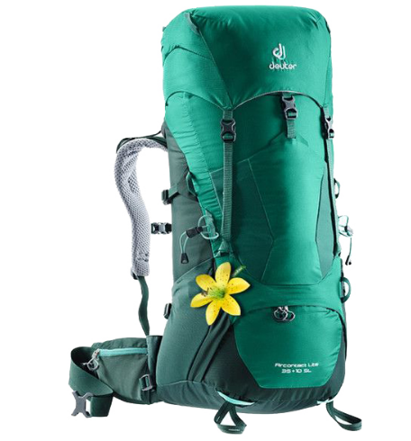 фото Рюкзак туристический deuter aircontact lite sl, женский, 35 + 10л, alpinegreen-forest, 2018, 3340018_2231
