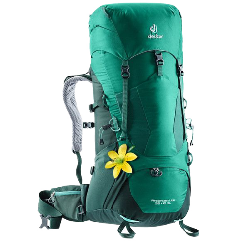 Рюкзак туристический Deuter Aircontact Lite SL, женский, 35 + 10л, alpinegreen-forest, 2018, 3340018_2231 рюкзак туристический deuter aircontact lite 65 10л alpinegreen forest 2018 4340318 2231