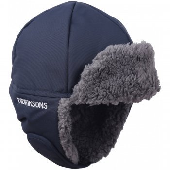 

Шапка DIDRIKSONS BIGGLES KIDS CAP, детская, морской бриз, 503937 (Размер: 50 )