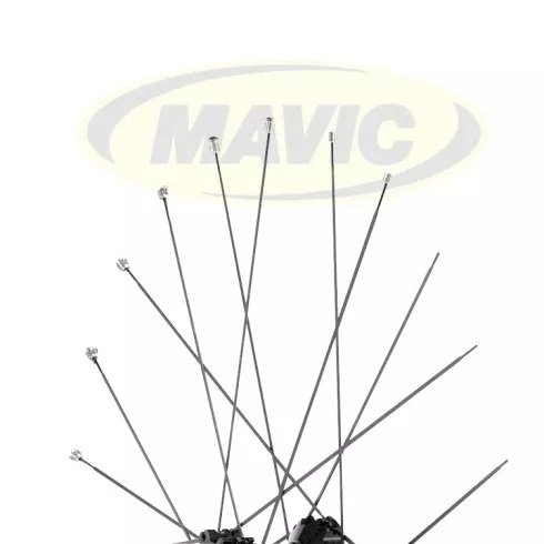 

Спица Mavic AKSIUM Disc 293mm, V2275301, Черные
