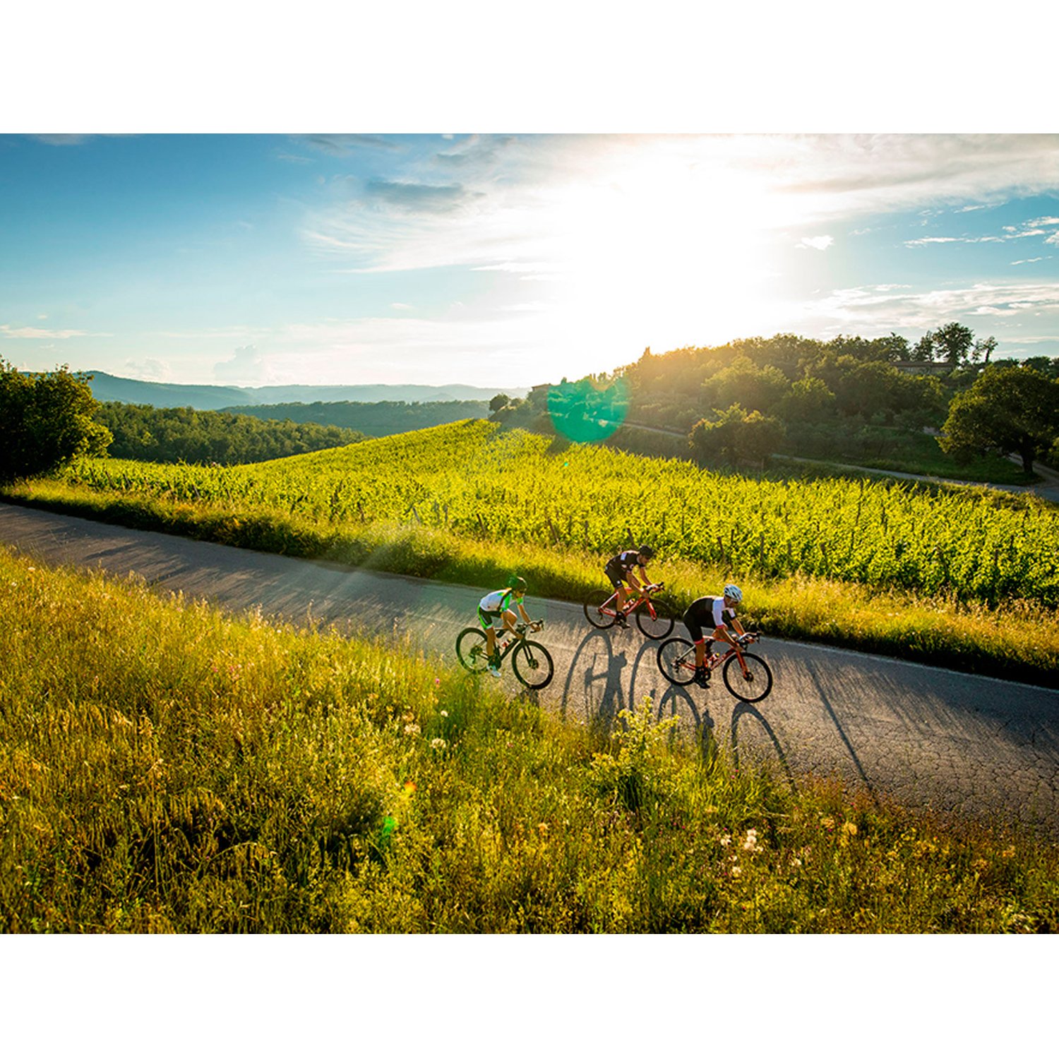Велосипед шоссейный Wilier 110Pro K-Force We Aksium 28 2020 E005TN KFWWE